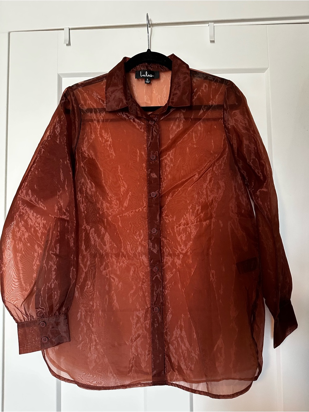 Lulu's Sheer Button-Down Blouse in Rust Shimmer
